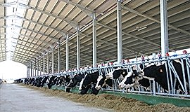 строительство сельскохозяйственных объектов