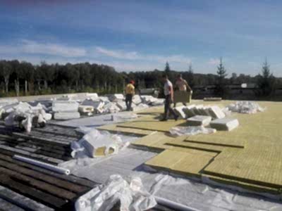 Ремонт кровли и фасада для Газпрома